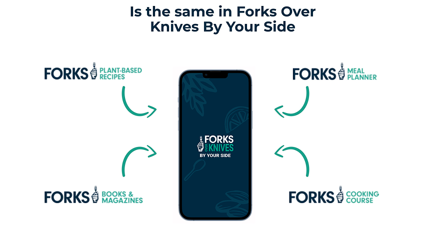 FOK Meal Planner testing plan